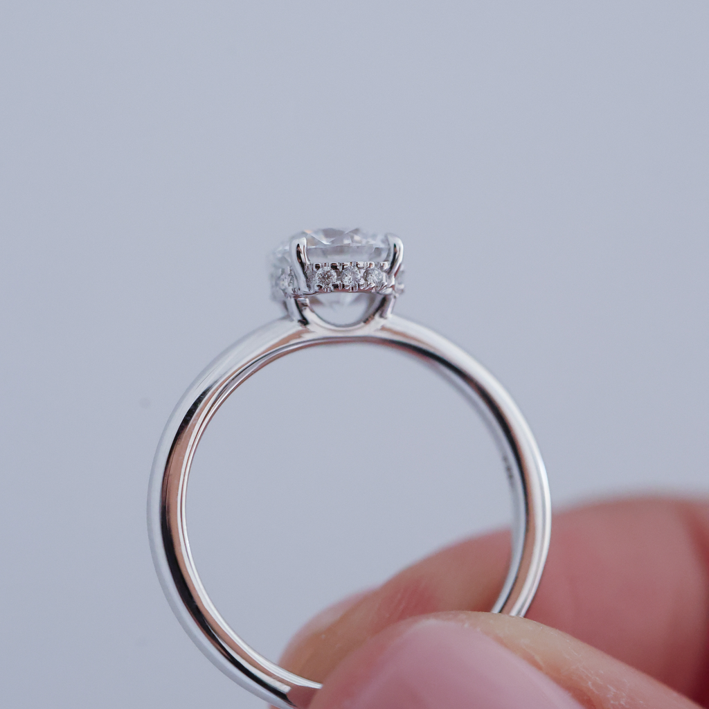 Se muestra el detalle del halo oculto